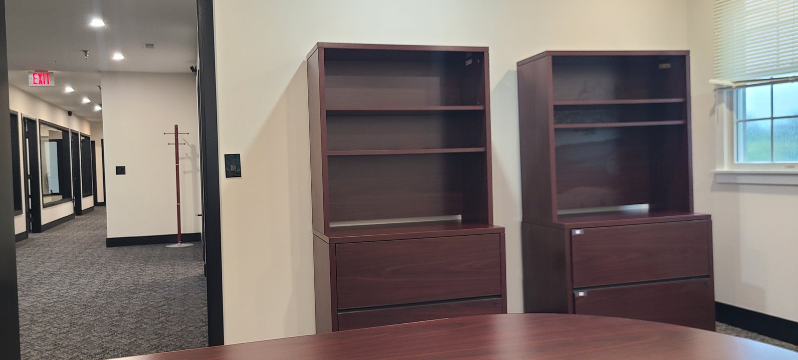 Office view with bookcases